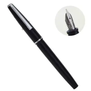 platignum silverline fountain pen