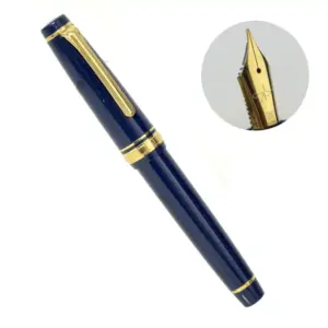 Sailor Professional Gear LE 2021 fountain pen
