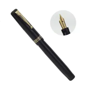 swan leverless 1060 fountain pen