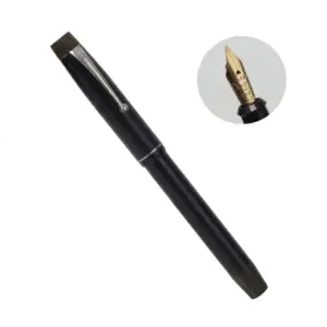 onoto 5501 fountain pen