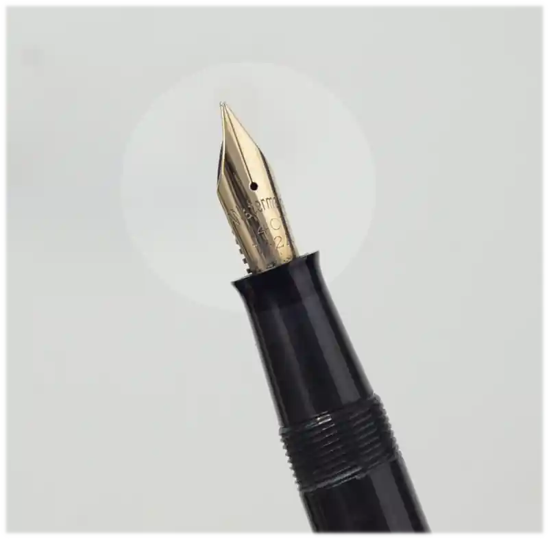 watermans 503 lever filler black fountain pen
