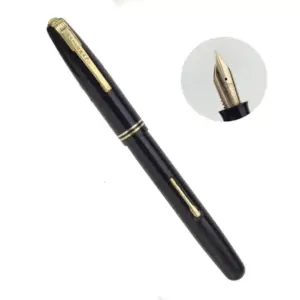 watermans 503 fountain pen