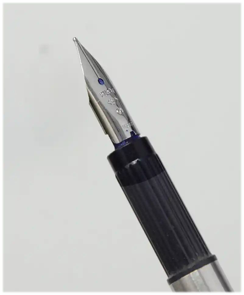 pilot birdie fountain pen F nib